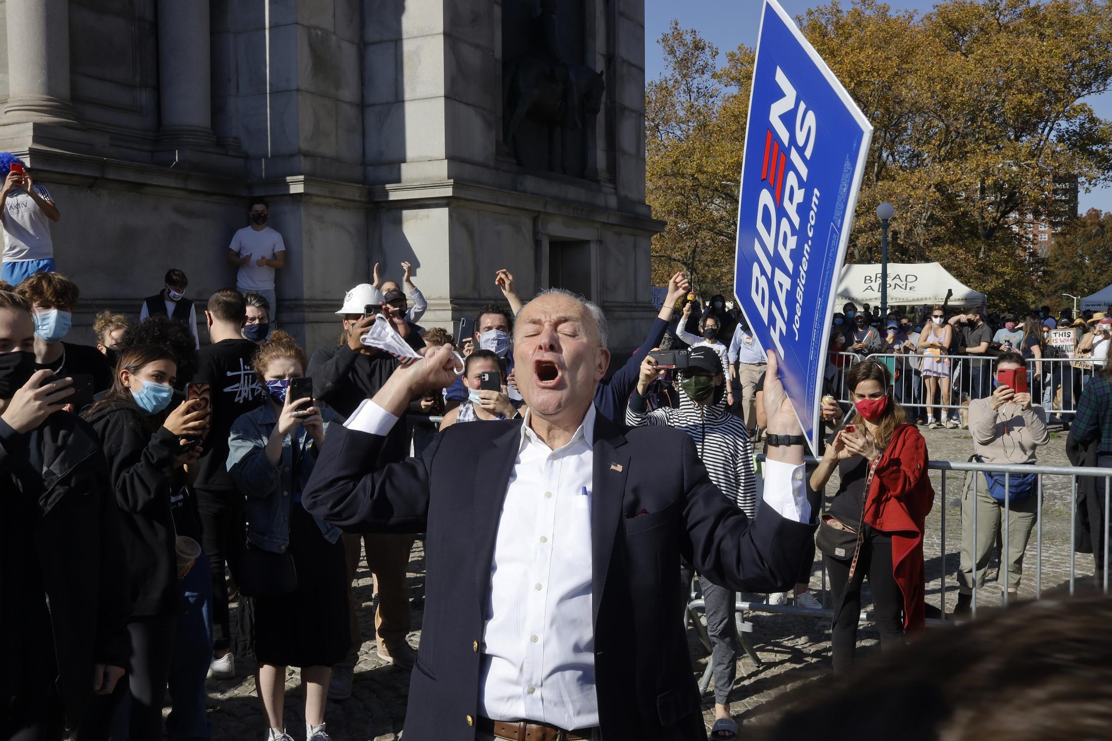 2020 Elections - Senator Minority Leader Chuck Schumer celebrating with...