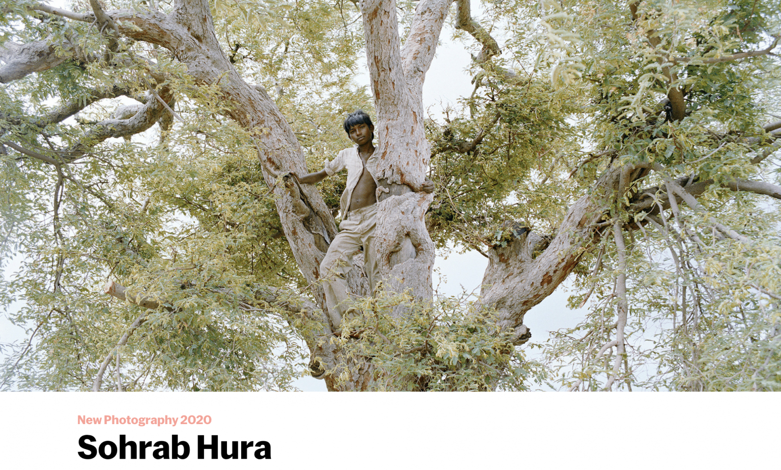on MOMA Magazine: New Photography 2020: Sohrab Hura