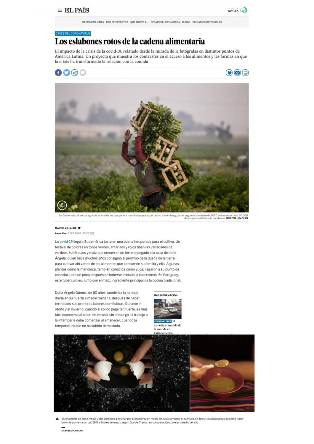 + publications