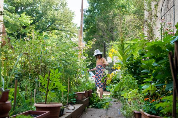 Image from Green Oases in the City - Stefani Mar weeds the vegetable beads at El Sol Brillante...