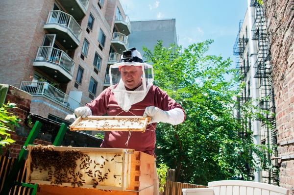 Image from Green Oases in the City - Todd McCraw checks one of the two beehives he keeps at El...