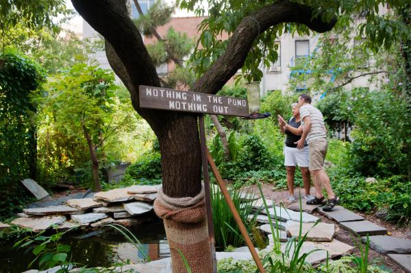 Green Oases in the City - Visitors photograph the pond at La Plaza Cultural garden.