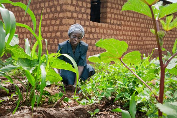 NGO Work - Deborah Rek Ngudu weeds the garden next to the house she...