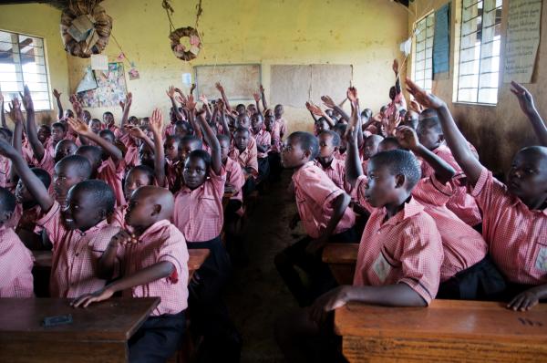 Image from NGO Work - Charles Aheebwa and his classmates raise hands to answer...