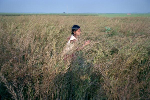 NGO Work - Girl runs through a wheat field behind her village of...