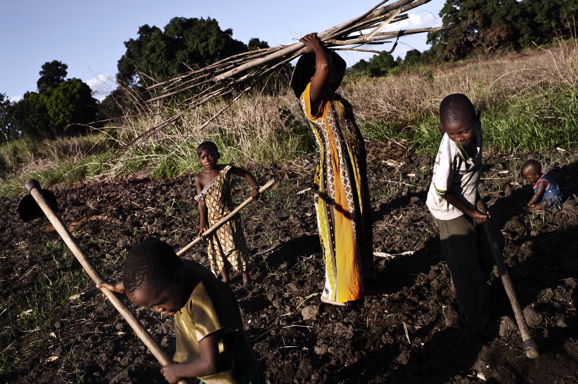 Food Justice - Tanzania, Village Kikundi, Ward Kiroka, Morogoro rural...