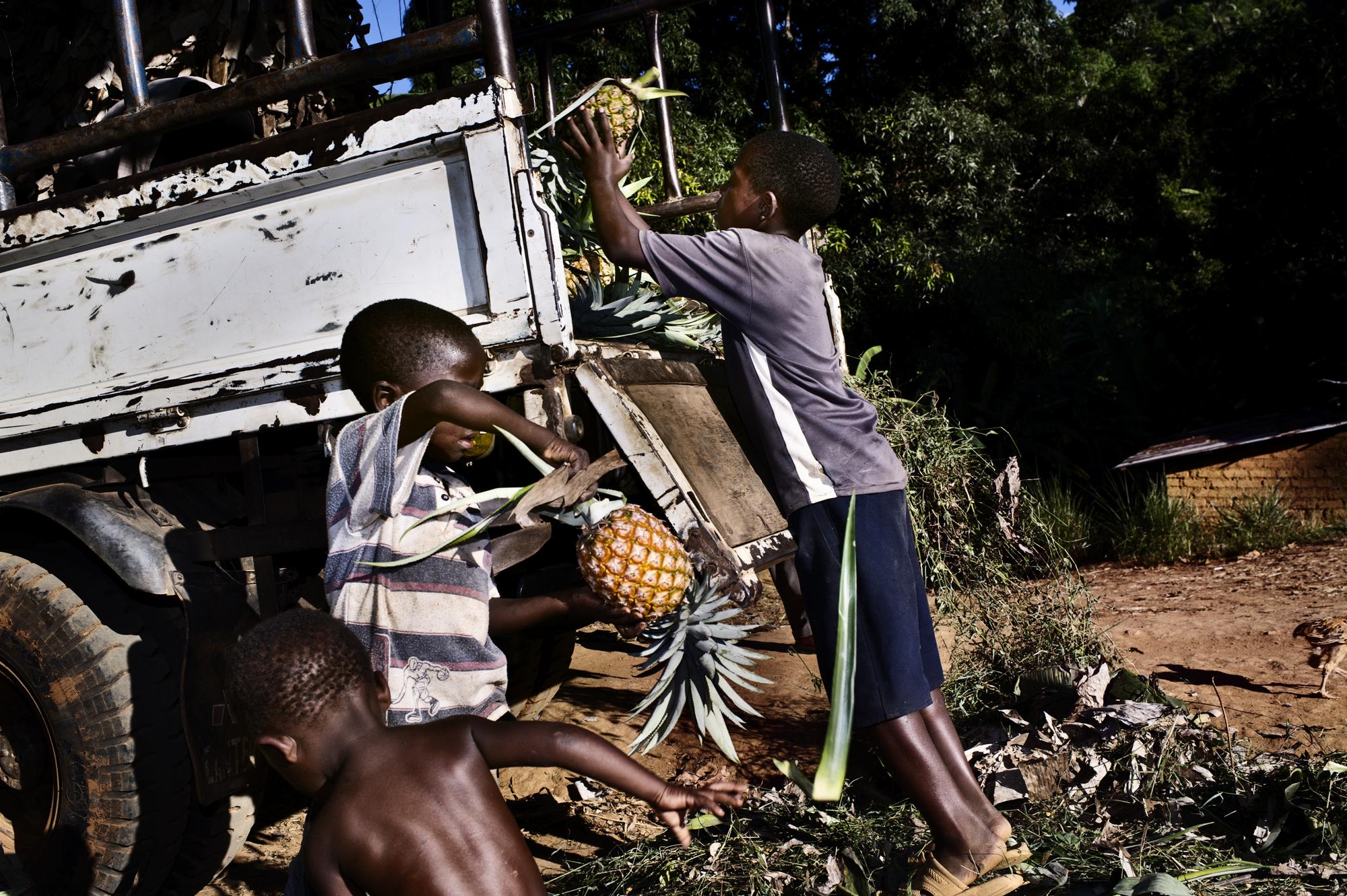 Food Justice - Tanzania, Tandai Village, Kinole Ward, Morogoro rural...