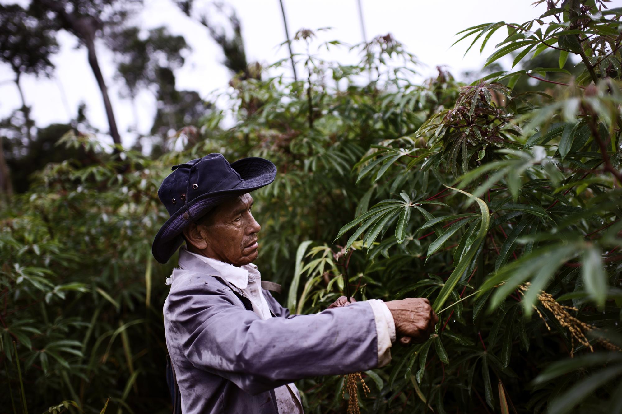 Food Justice - Bolivia, the Amazon, San Juan del Urucú.
Manuel...