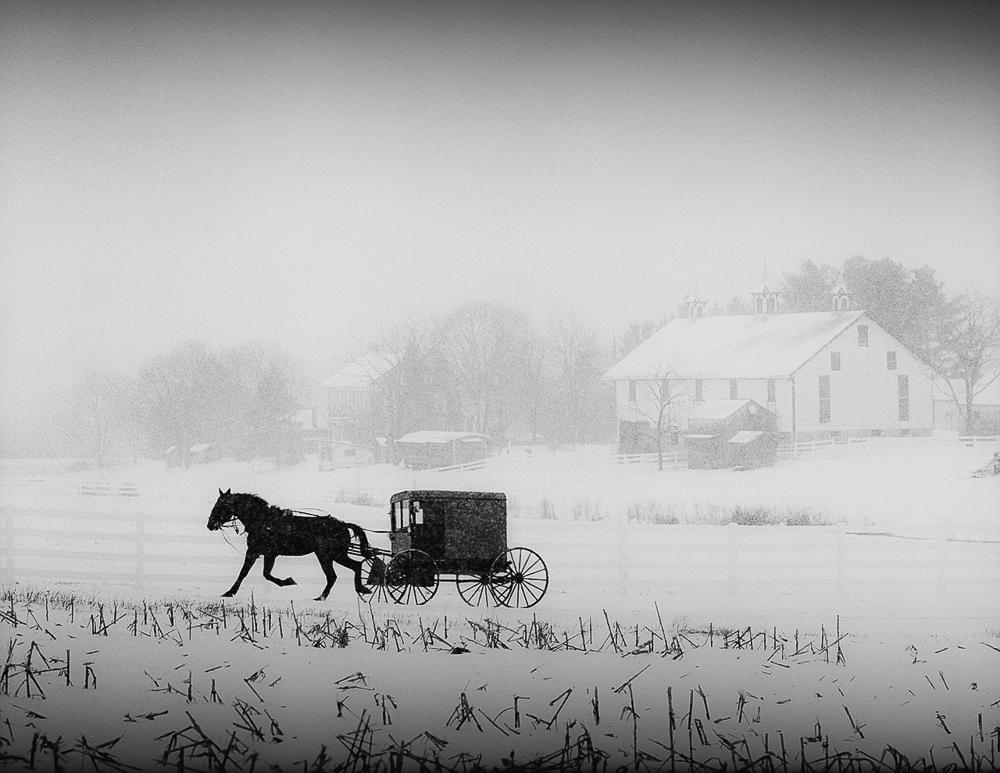  Coming Home From School One of my neighbors driving past our farm, having picked up their children from the one-room schoolhouse just up the road