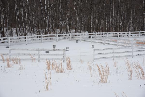 Image from Home/Land -   Amish Cemetery   The land this small cemetery is...