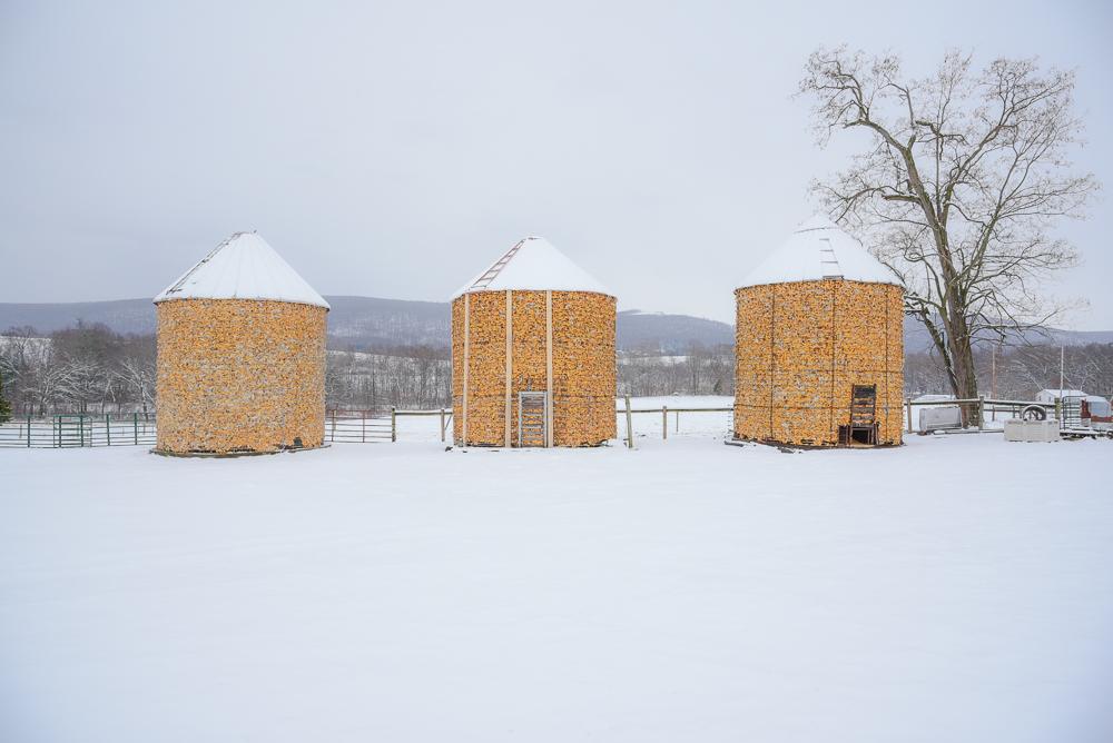 Home/Land -   Corn in Winter  