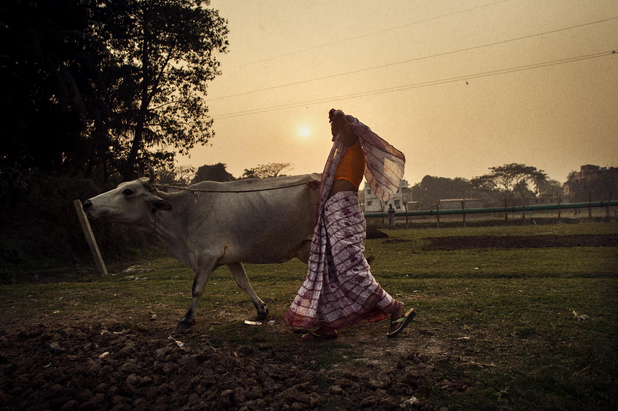 Microcredit / Bangladesh - Bangladesh, Dhaka, Kalindi.
January 2012
Bulu Begum is...