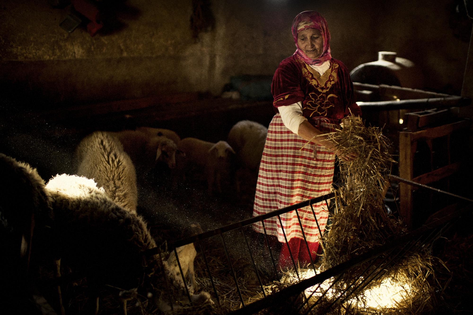 Microcredit / Morocco - Morocco, Oulad Taib. November 2011.
Aicha Khadraoui...