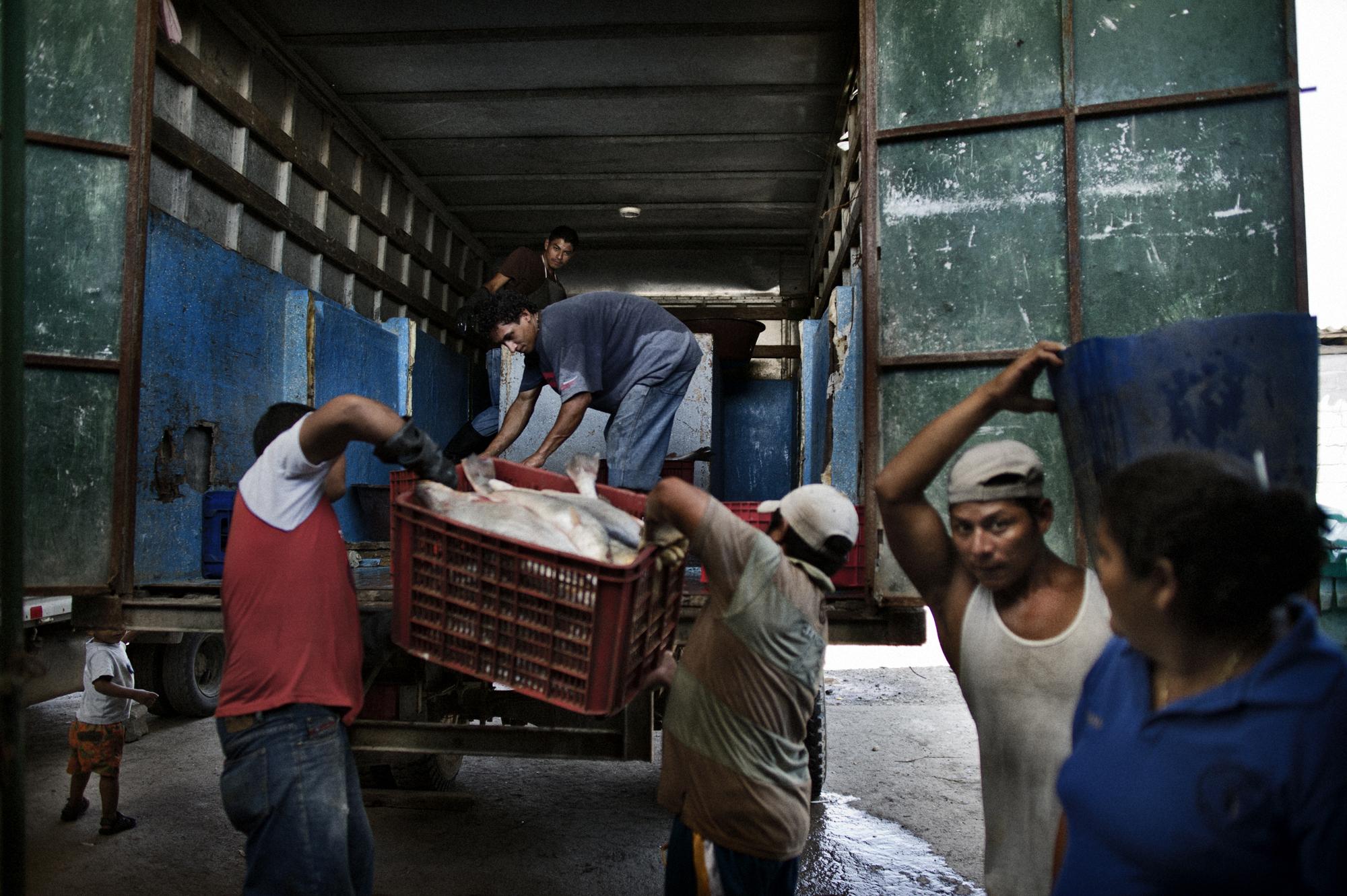 Microcredit / Central America - Totogalpa, Honduras.
October 2010.
Men loading a truck...