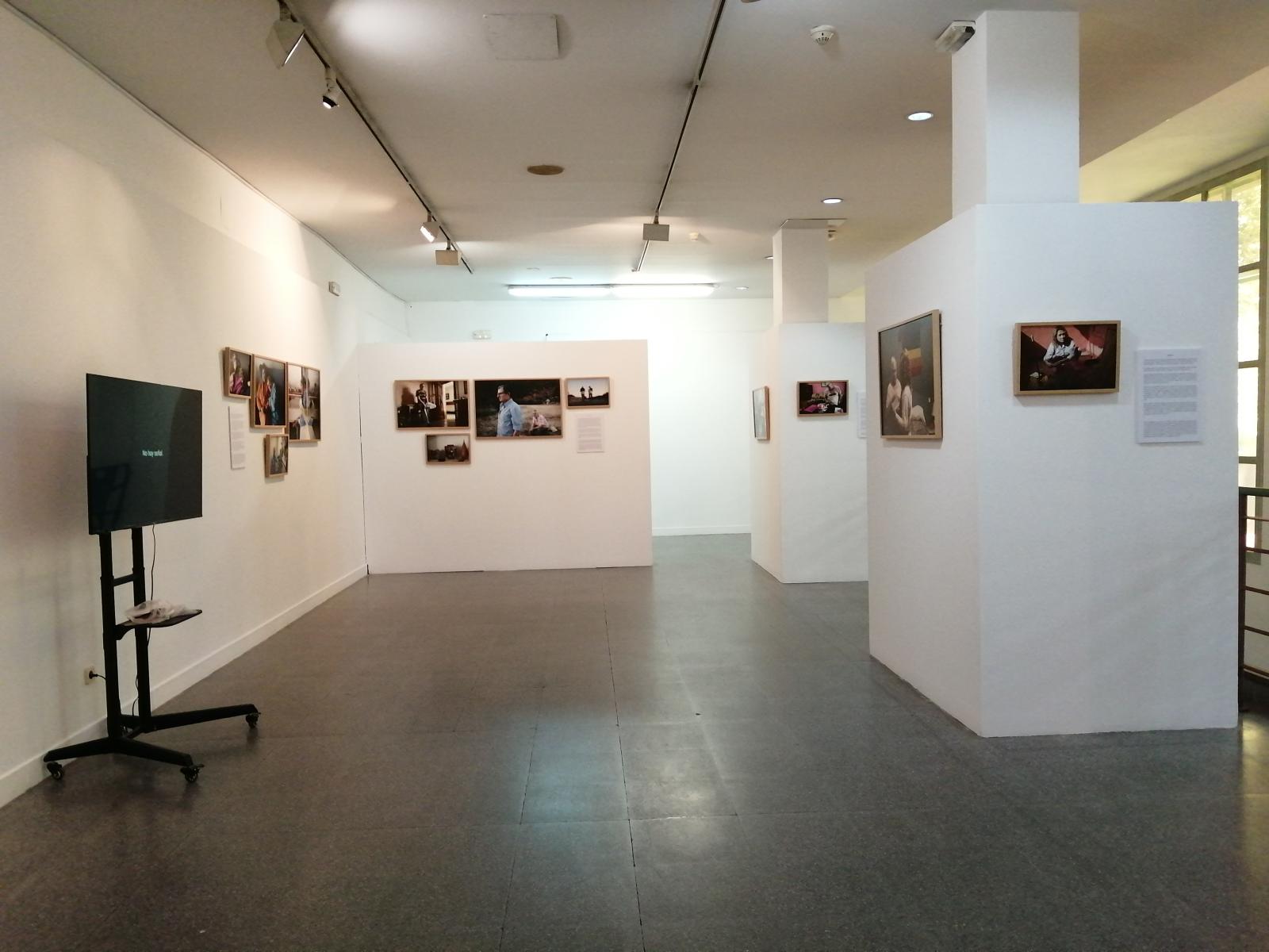 "The Autumn Flowers" exhibition in CMA Alcorcón