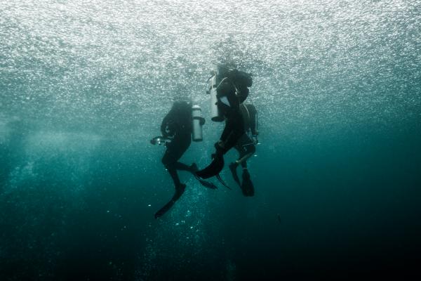Underwater  - 