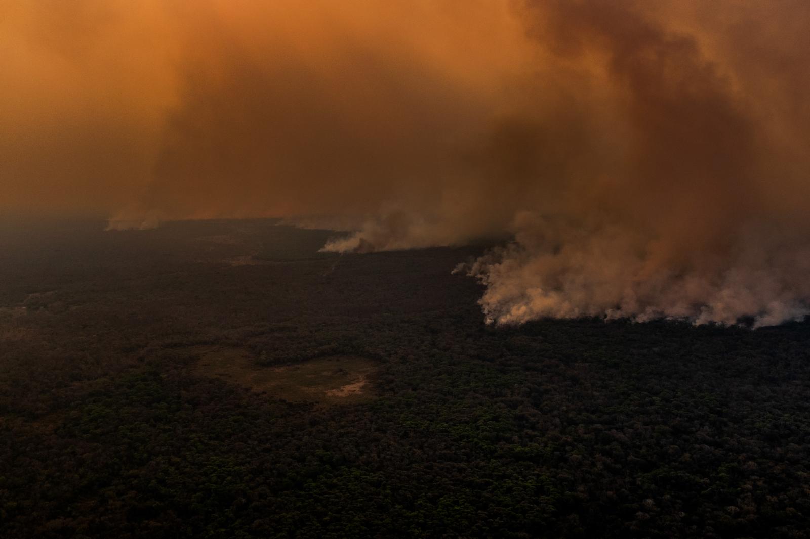 Wildfires burn in a protected a... exacerbated by climate change.