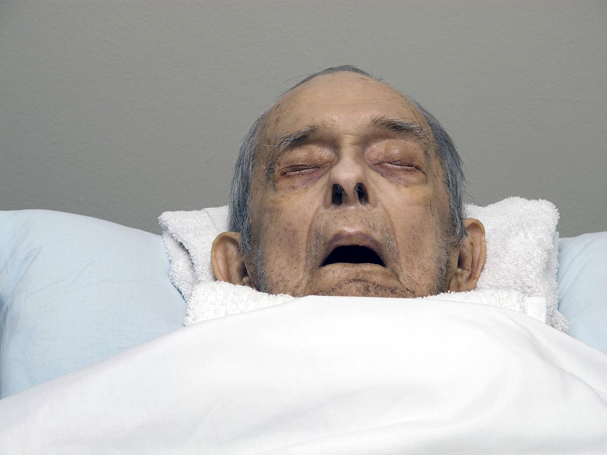 Alzheimer's and Caregiving  - Death Portrait