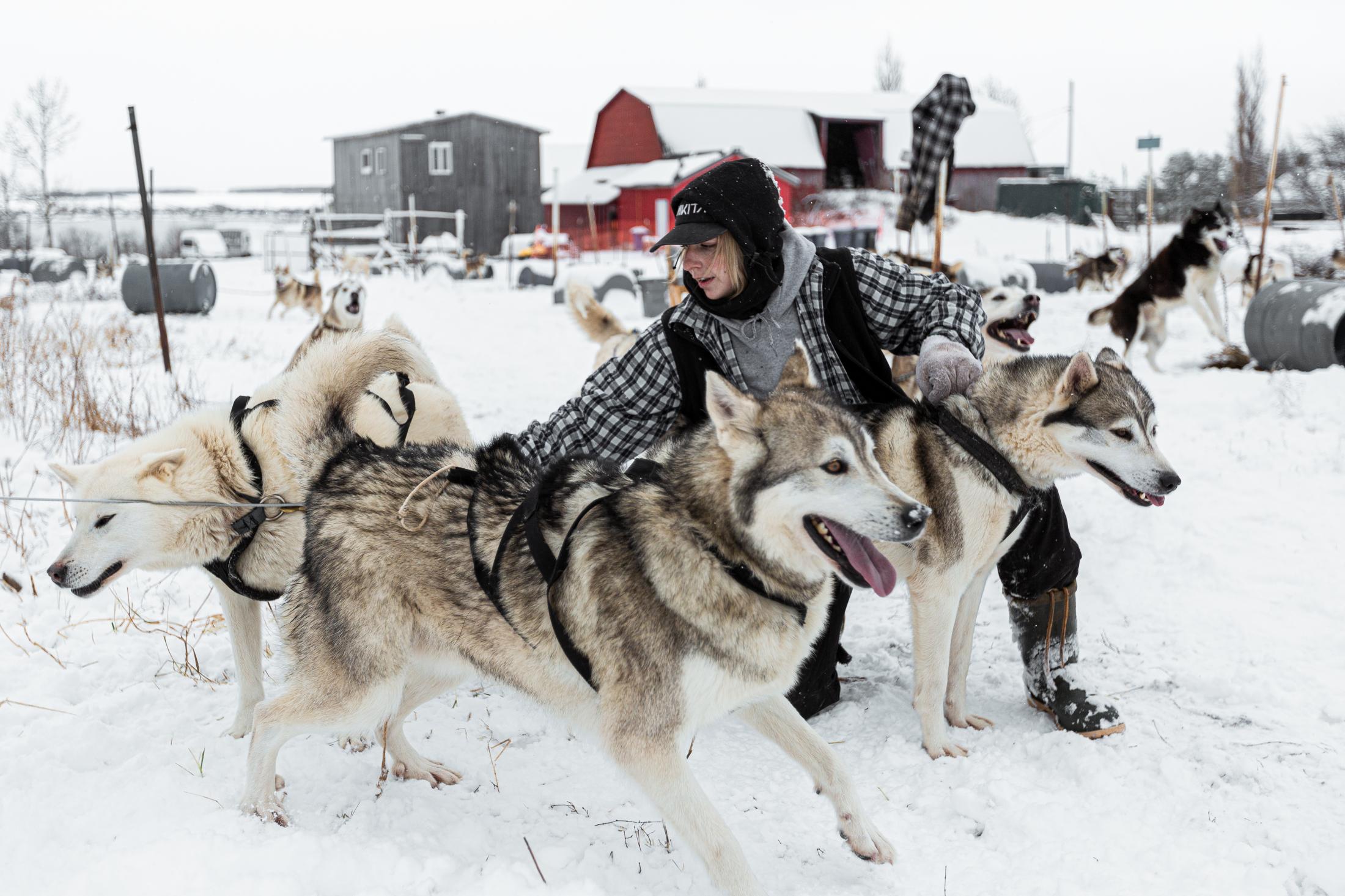 Canada, Profession musher - 