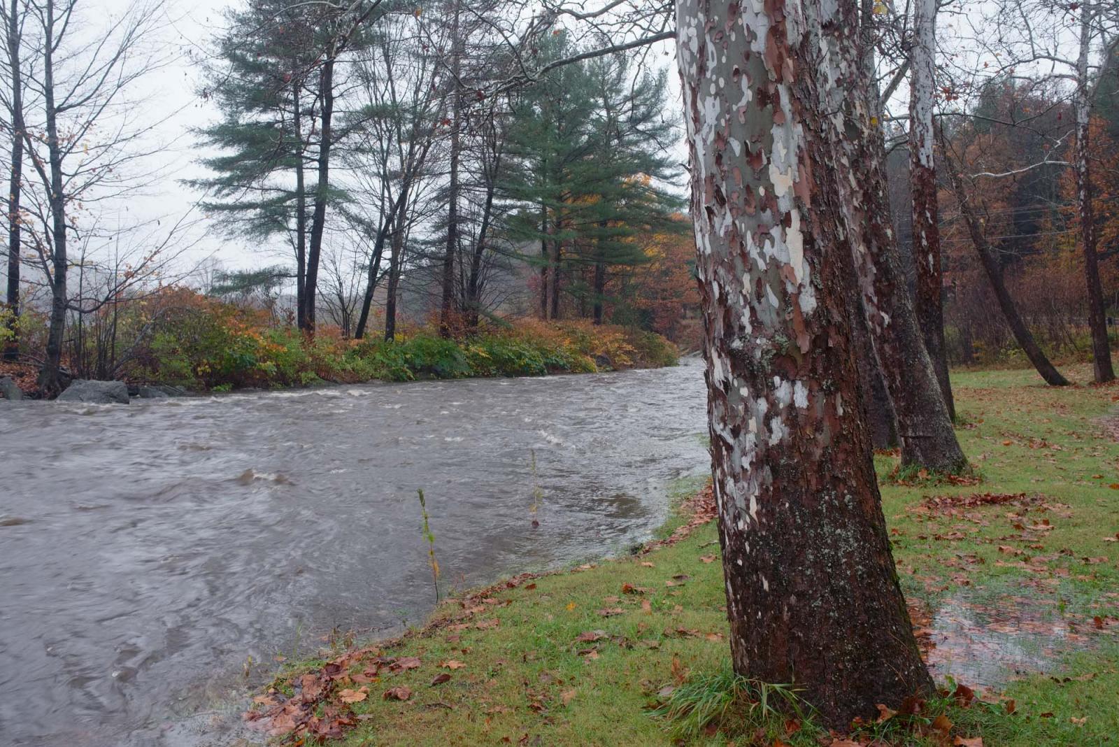 Cold River. Alstead, New Hampshire, USA. October 2014.
