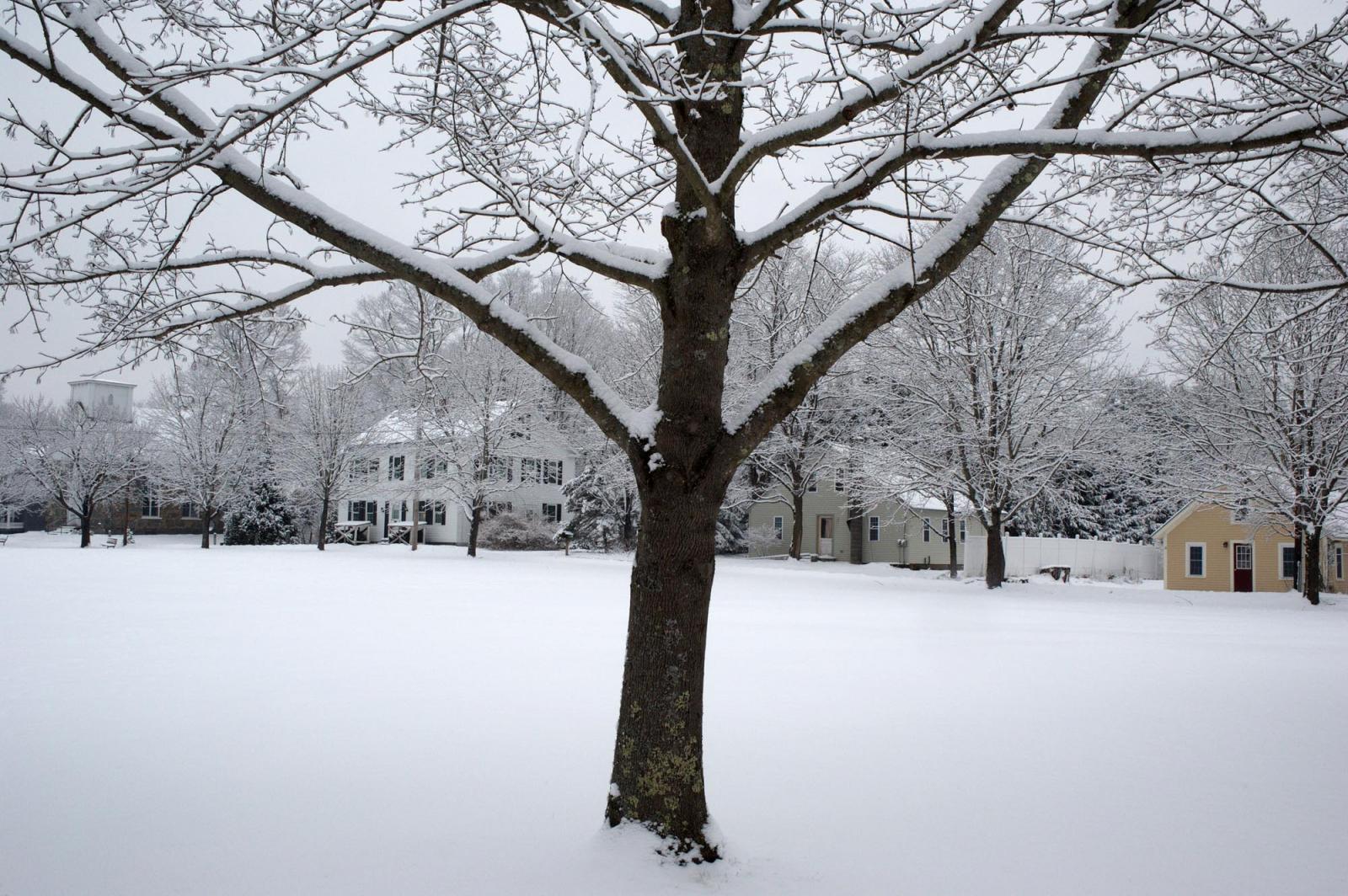 The Common. Drewsville, New Hampshire, USA. December 2013.