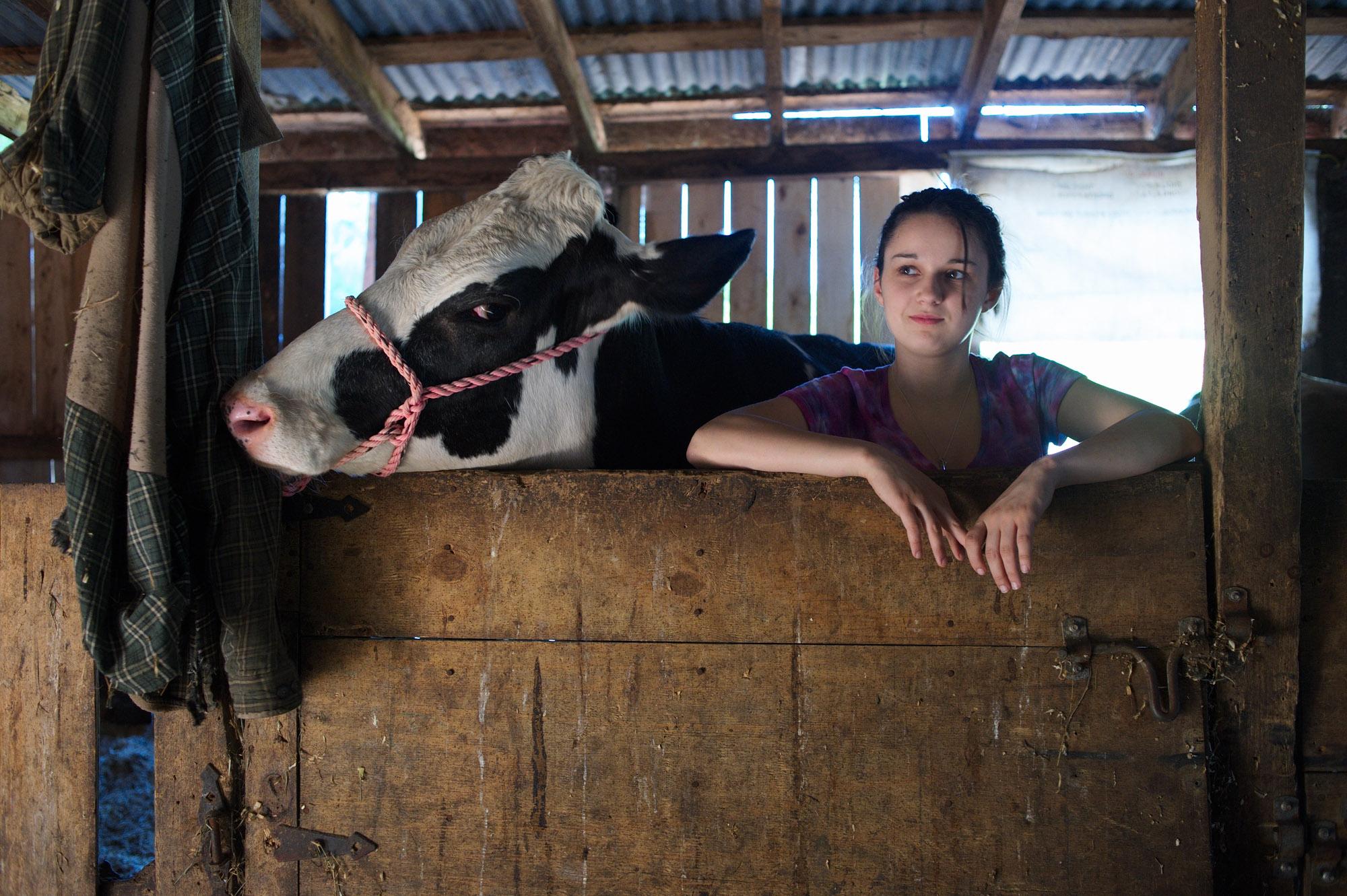 Drewsville & Beyond - Christina and her 4-H cow. Winchester, New Hampshire,...