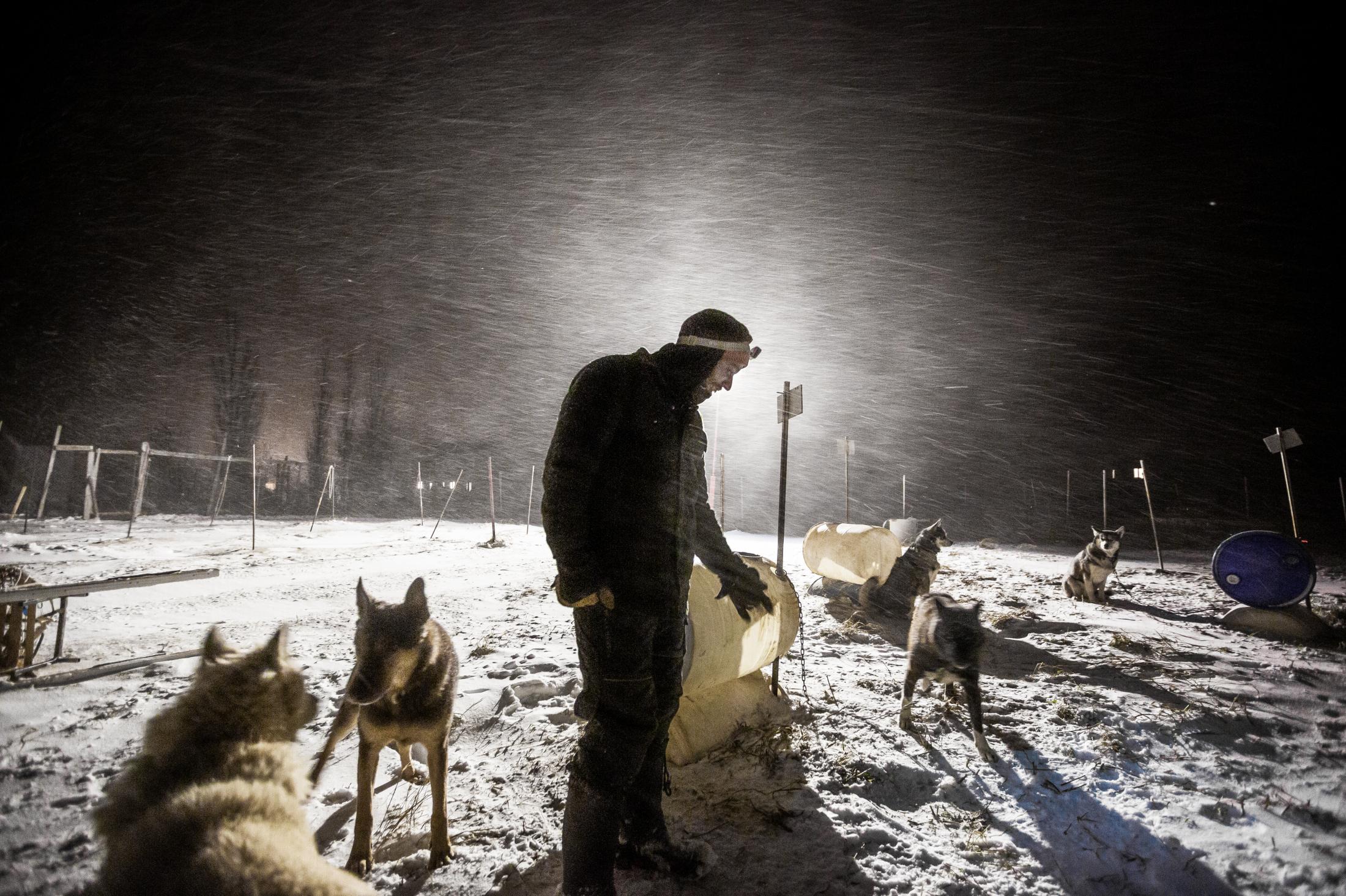 Canada, Profession musher - 