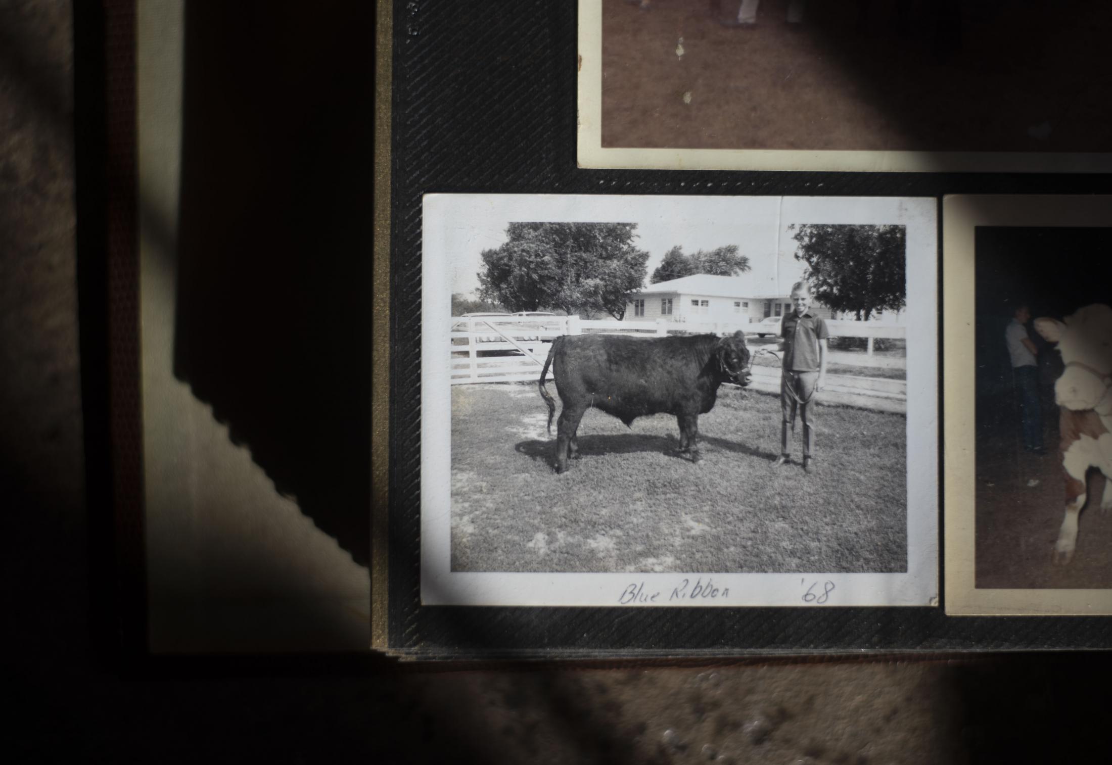 A 1968 photograph showing my great-uncle, Rusty Reed, with a &ldquo;Blue Ribbon&rdquo; calf is photographed Dec. 5. Rusty is the youngest of his three brothers.