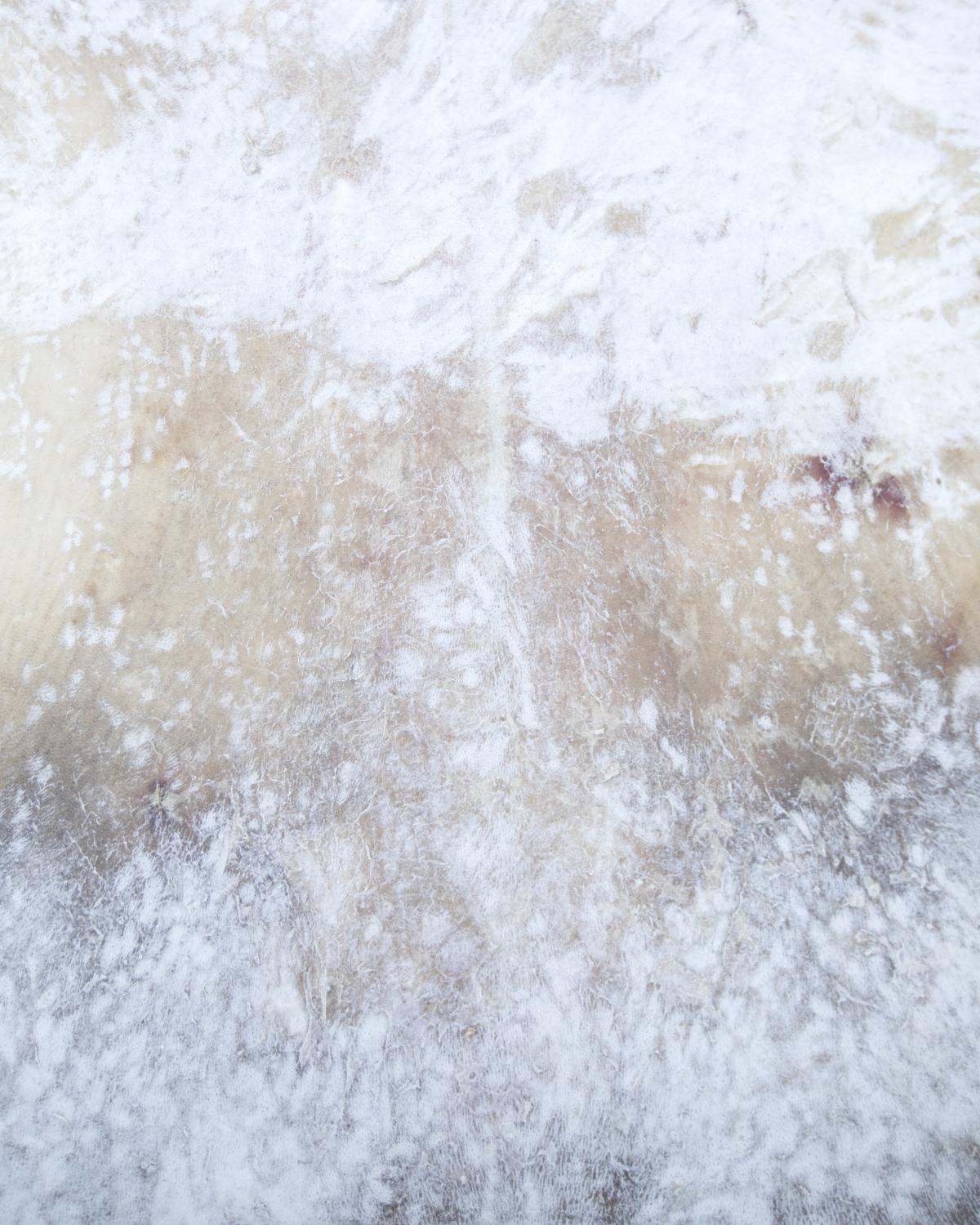 Sea Ice Stories - Polar bear skin drying in Arctic Bay, Nunavut.