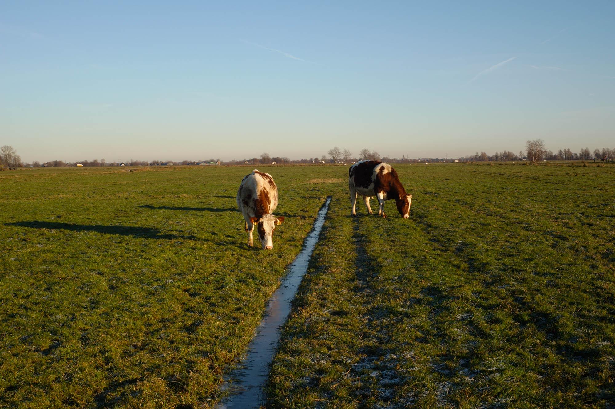 The Other Farm - Polder Kamerik-Teylingens, De Beekhoeve. Kamerik, The...