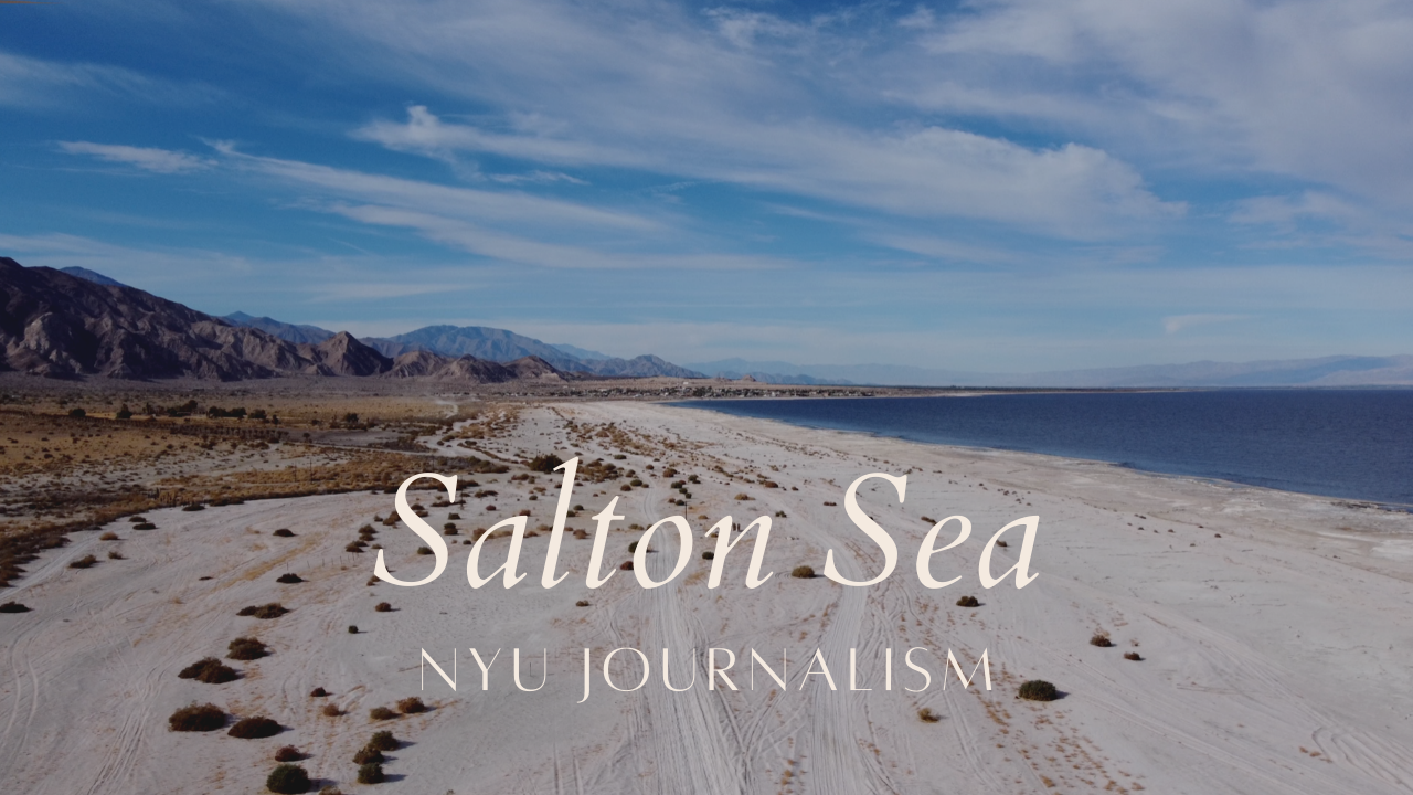 Salton Sea Visual