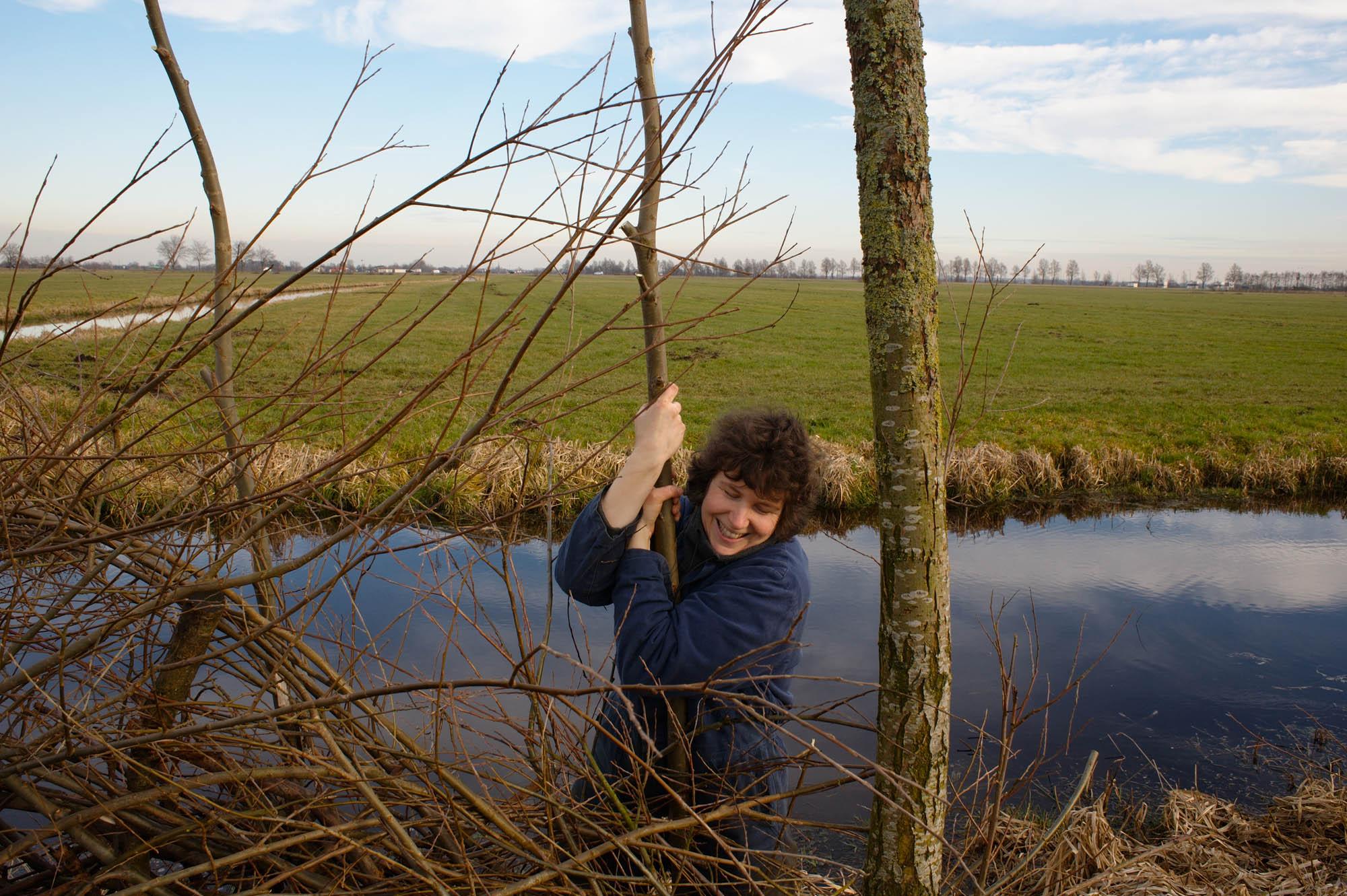 The Other Farm - Monique is planting a pollard willow branch as part of a...