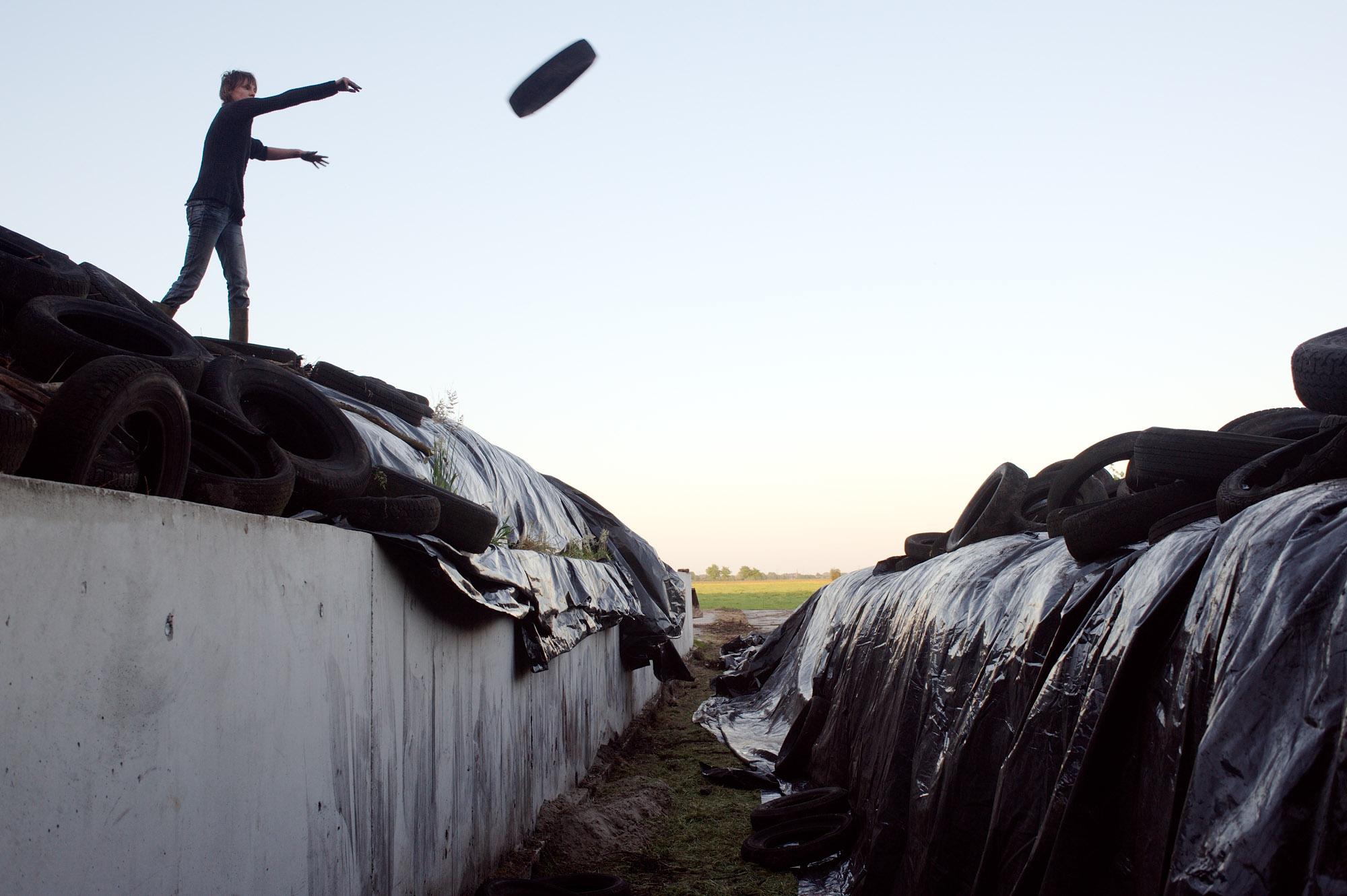 The Other Farm - Maaike is throwing old car tires onto the plastic that...
