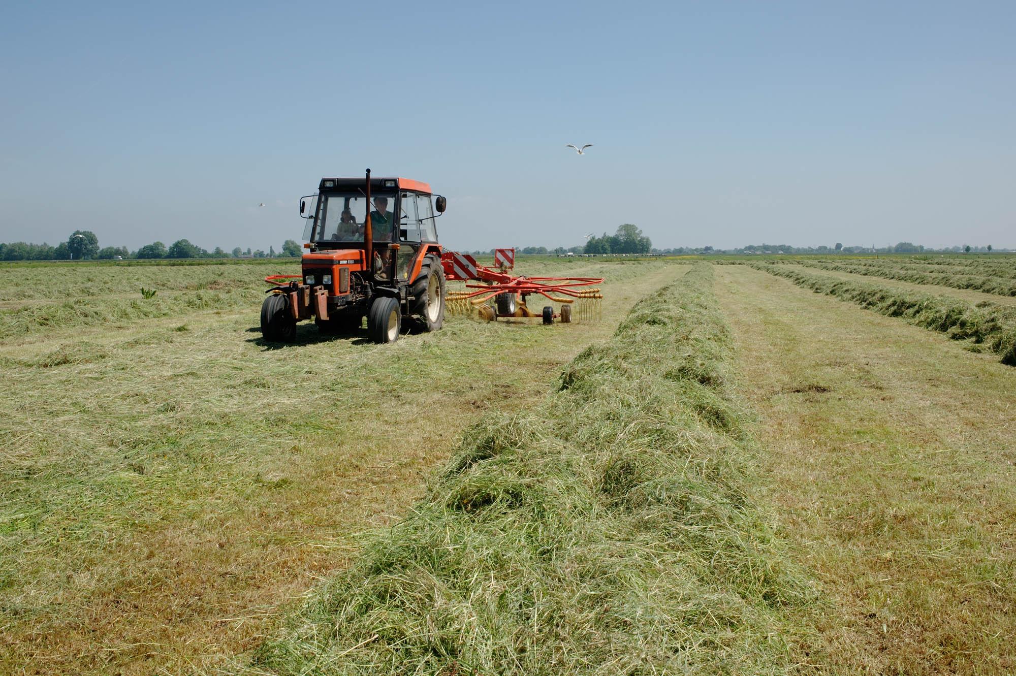 The Other Farm - Koos and his son Timo are raking grass with a rotary rake...