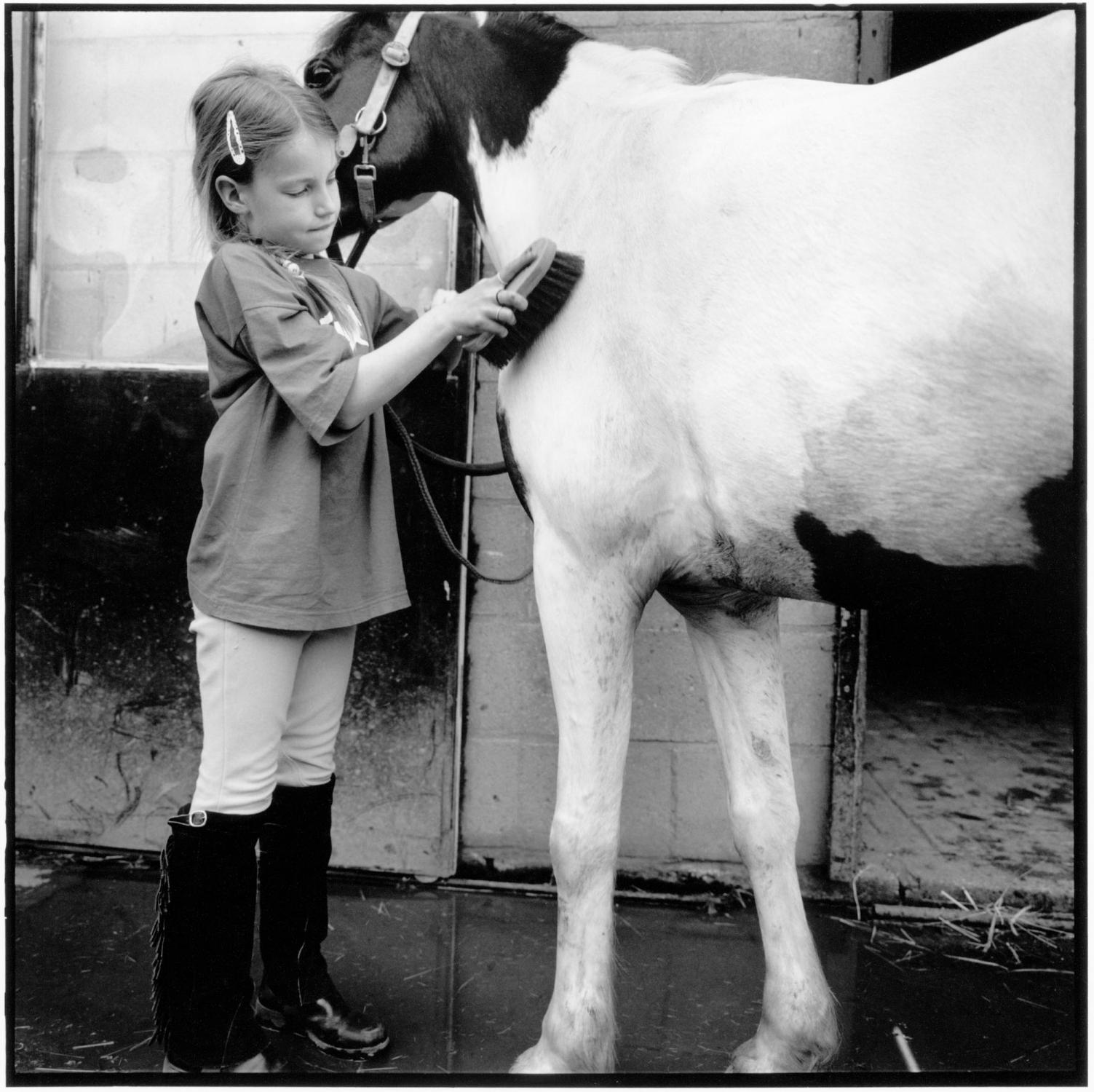 A Very Personal Animal - Riding school Morgenstond. Woerden, The Netherlands. May...