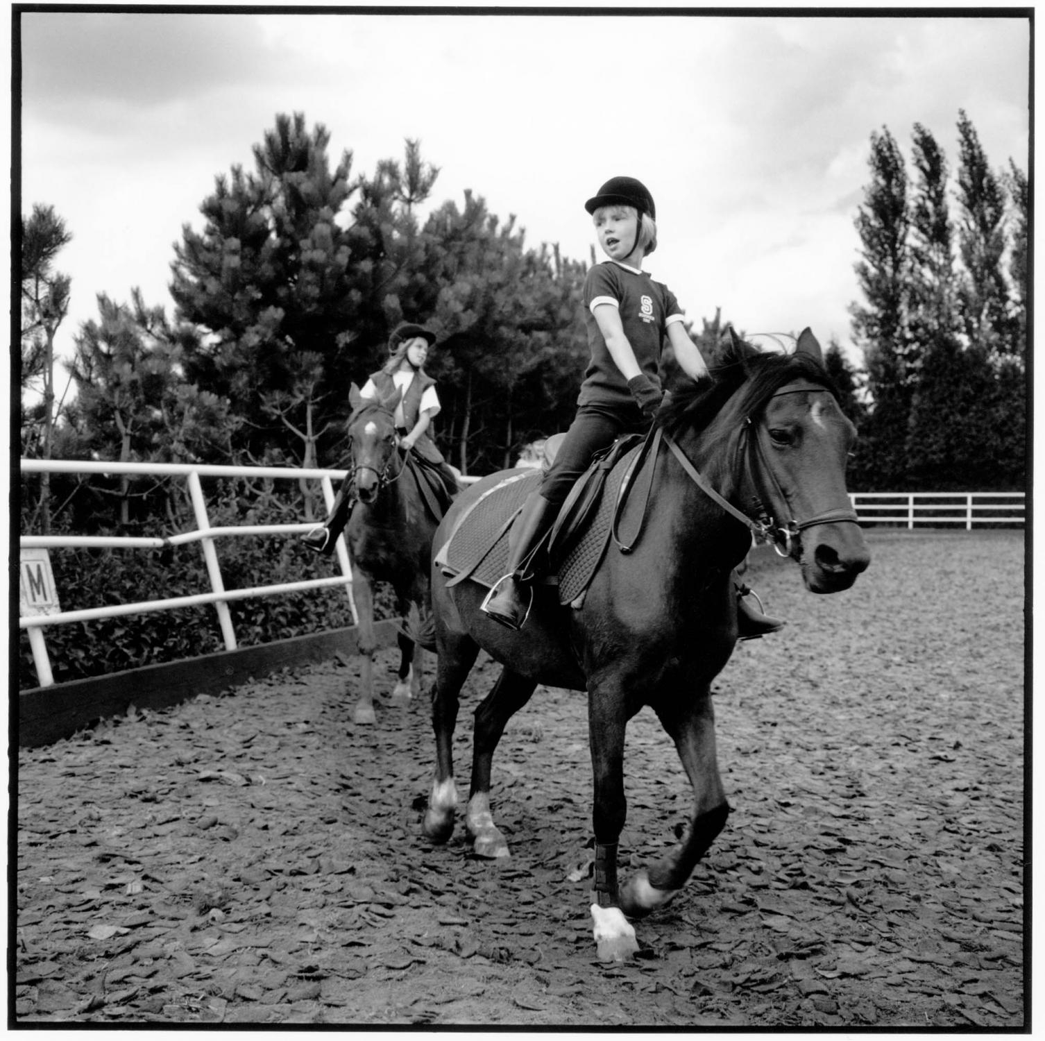 A Very Personal Animal - Riding school Morgenstond. Woerden, The Netherlands....