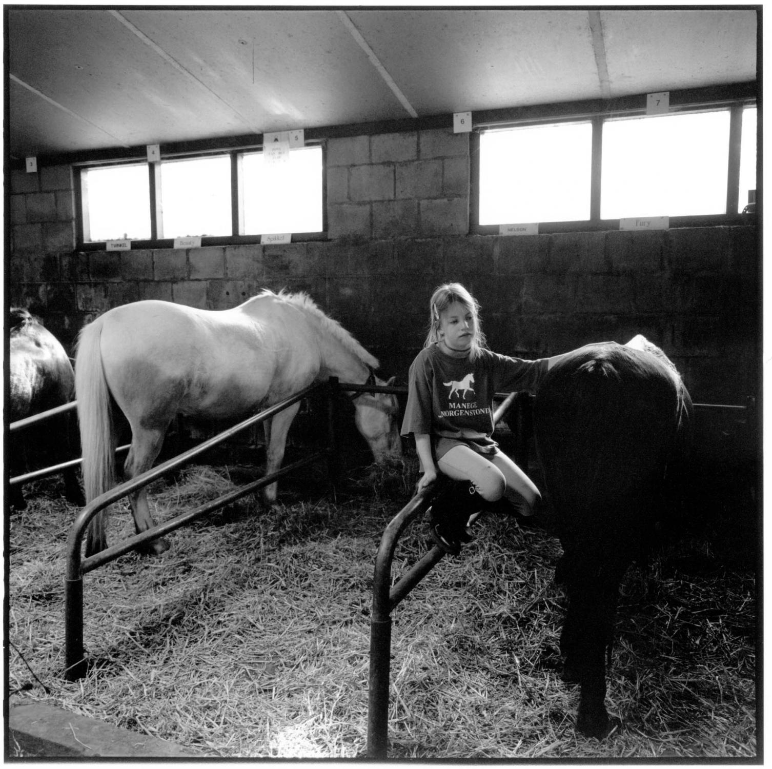 A Very Personal Animal - Riding school Morgenstond. Woerden, The Netherlands. May...