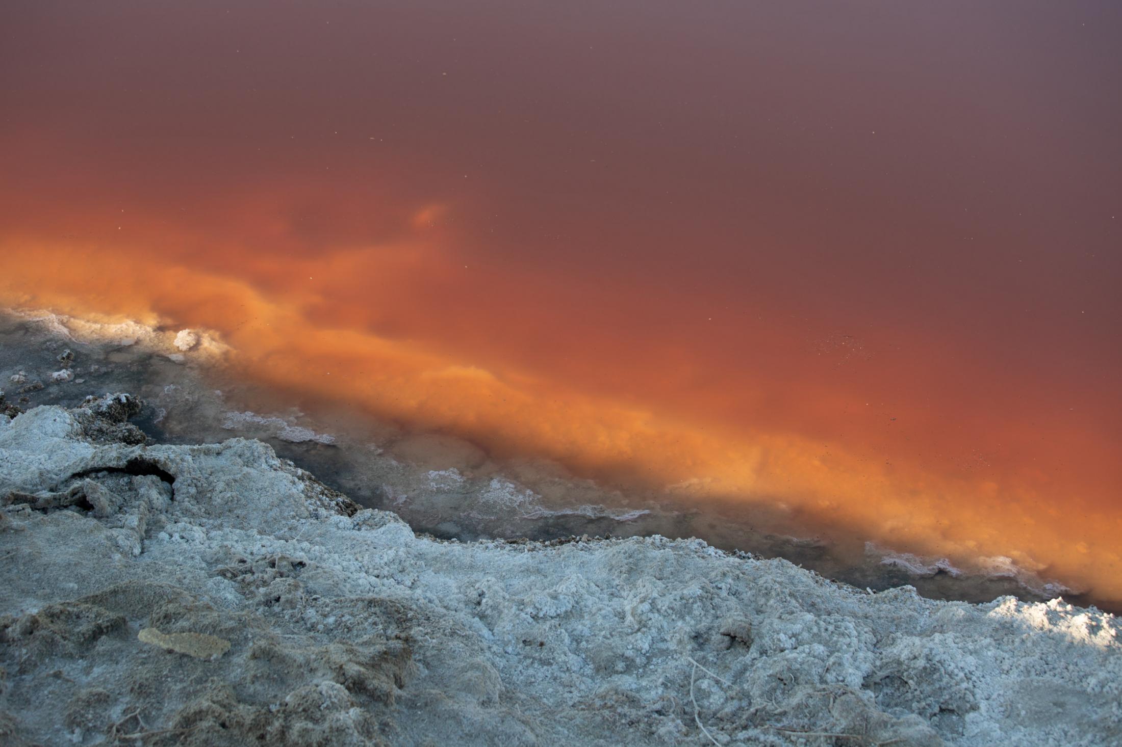  - The Salton Sea -  The sea's edge is a bright orange red as the water...