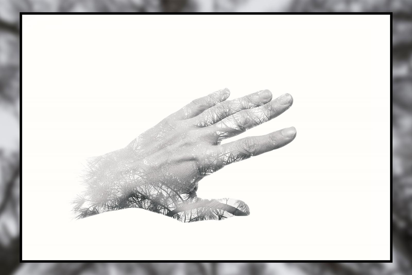 In Our Hands Richard Le Manz Photographer Artist Welcome