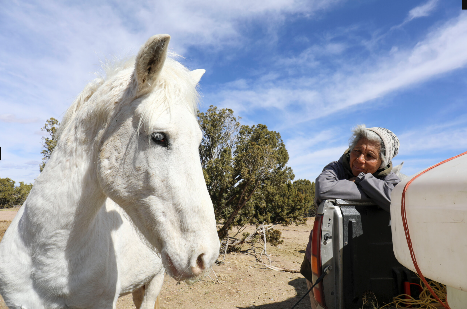 Meet the women reining in hope for New Mexico's wild horses