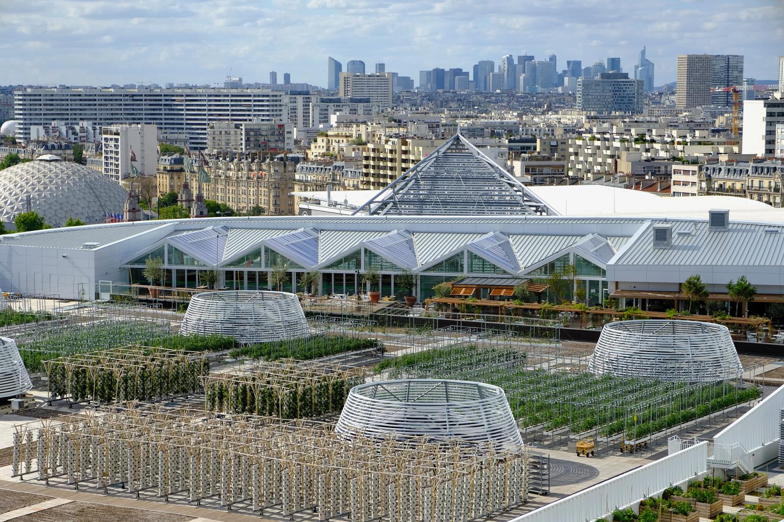 Urban Roof Farming