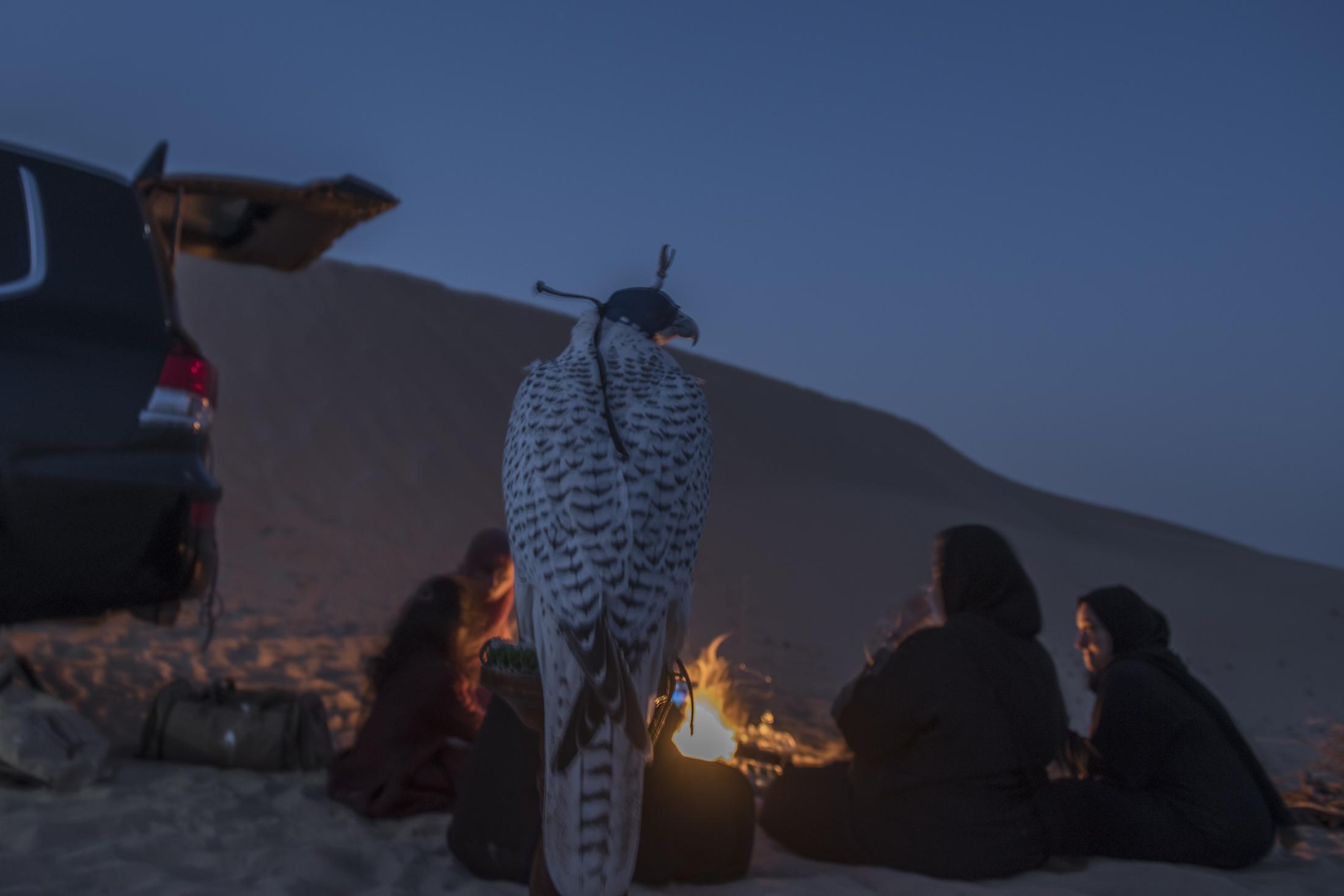 UAE : Women Breaking Stereotypes with Falconry - Ayesha and her student discuss family matters after...