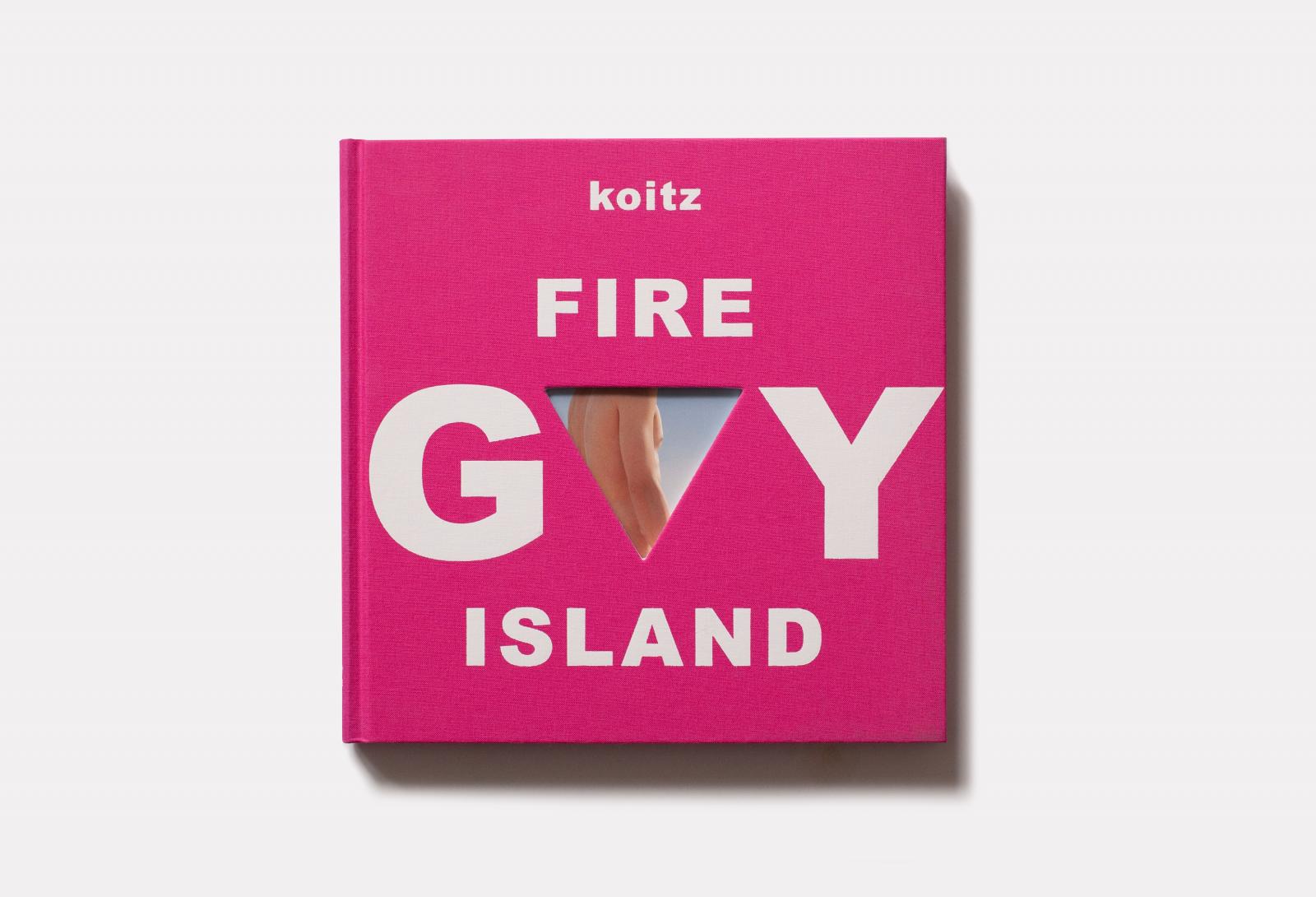 gay fire island koitz 2020