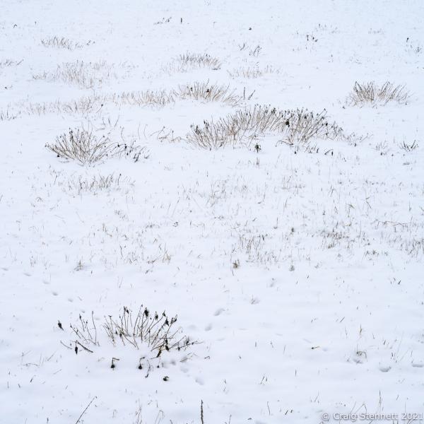  Snow field. Salzatal, Saxony-Anhalt, Germany. 