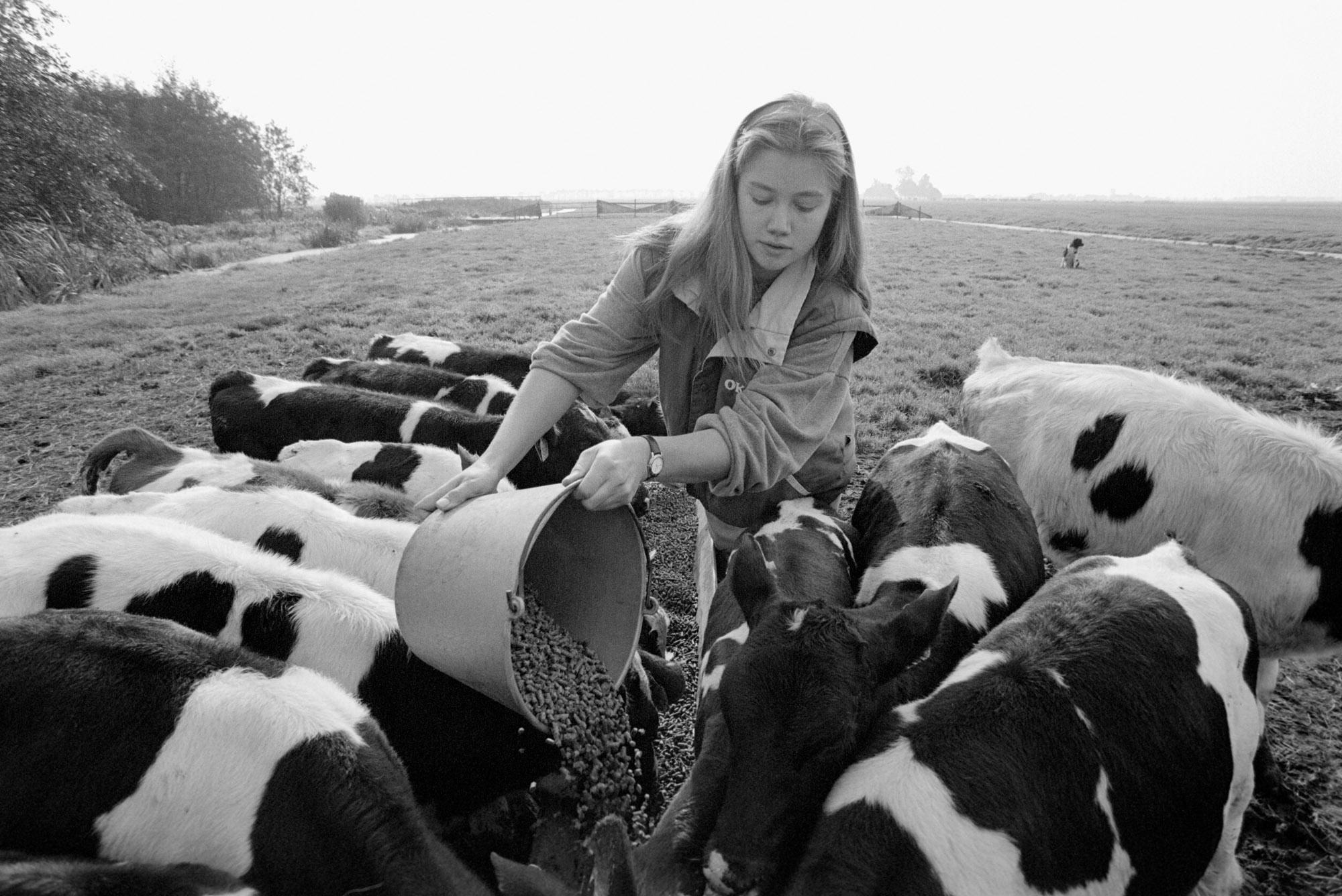 You Are a Girl and You Want to Milk Cows - Mirjam feeds the calves on her father’s farm, which...