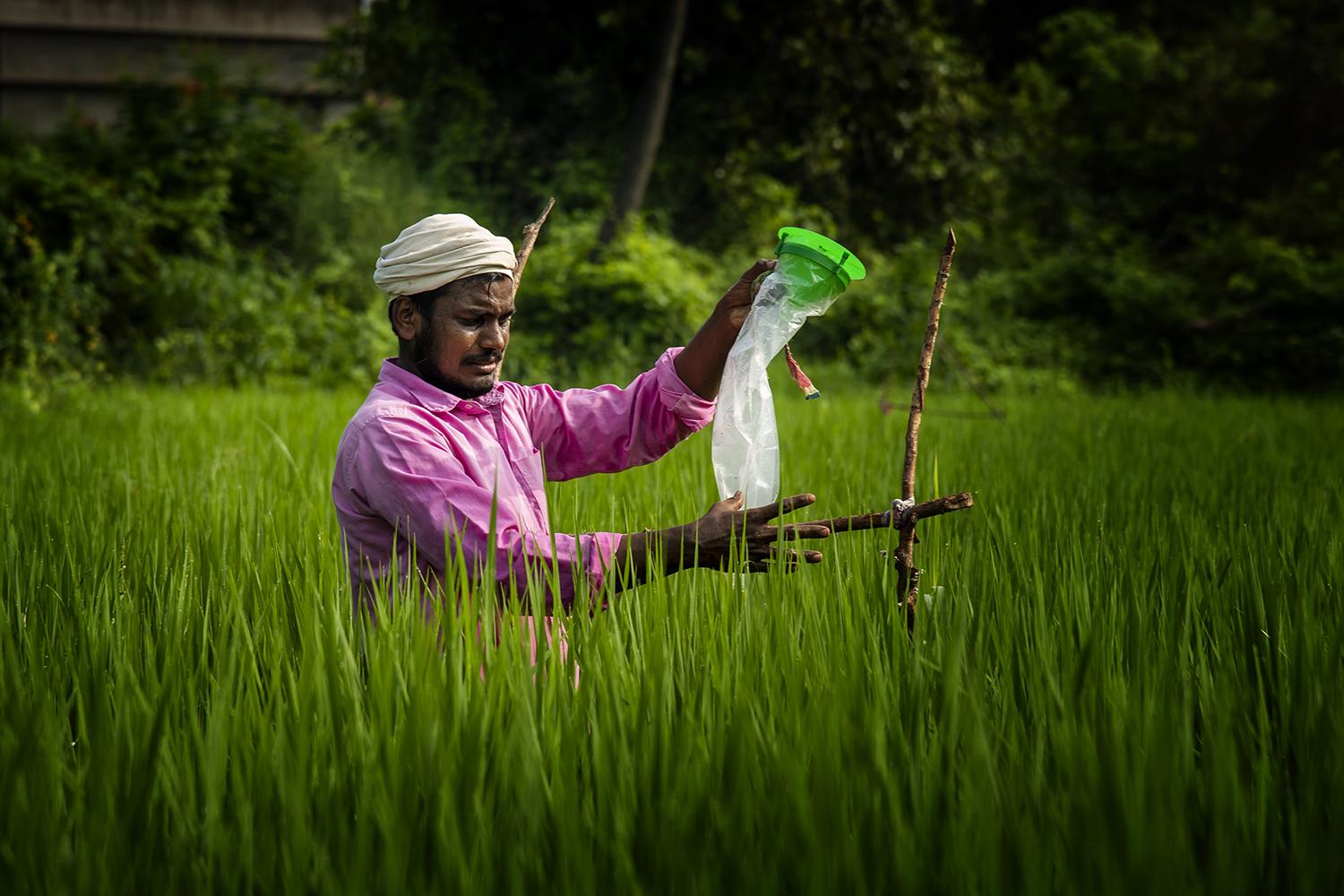 Ecological Farming_South India (2020)