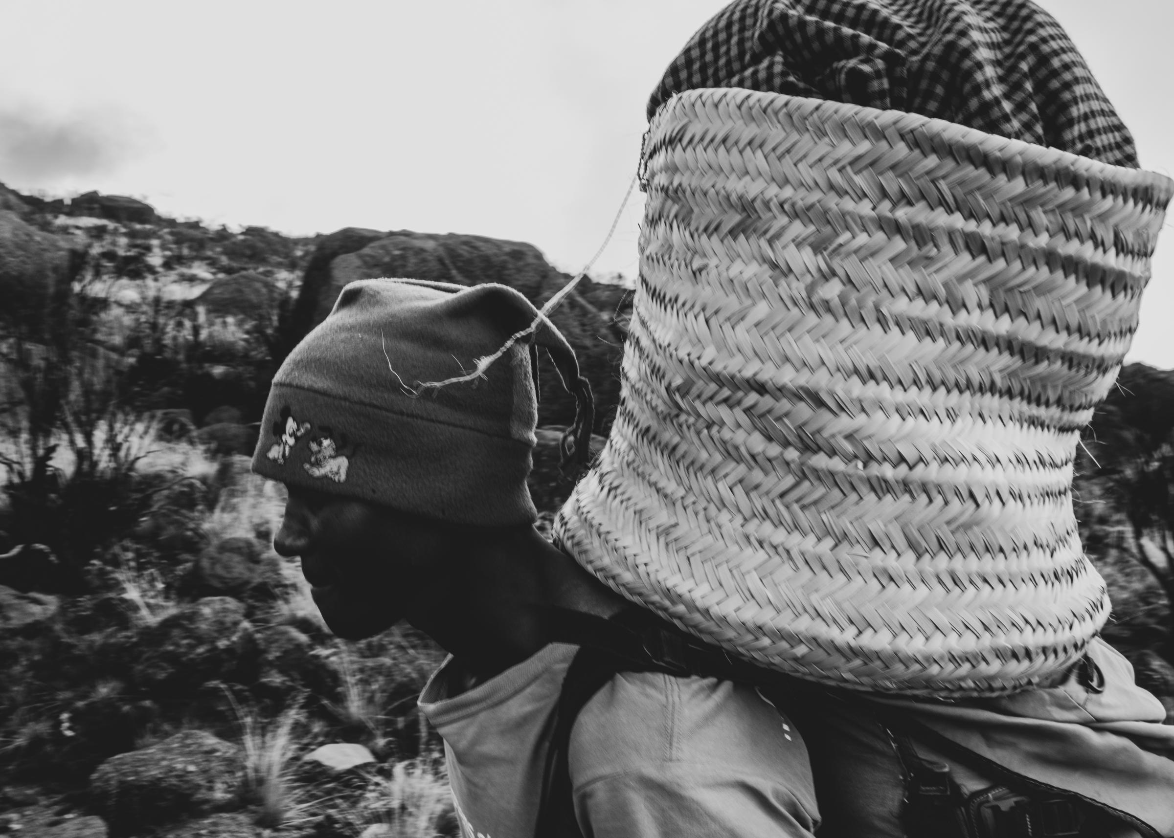The Porters of Kilimanjaro