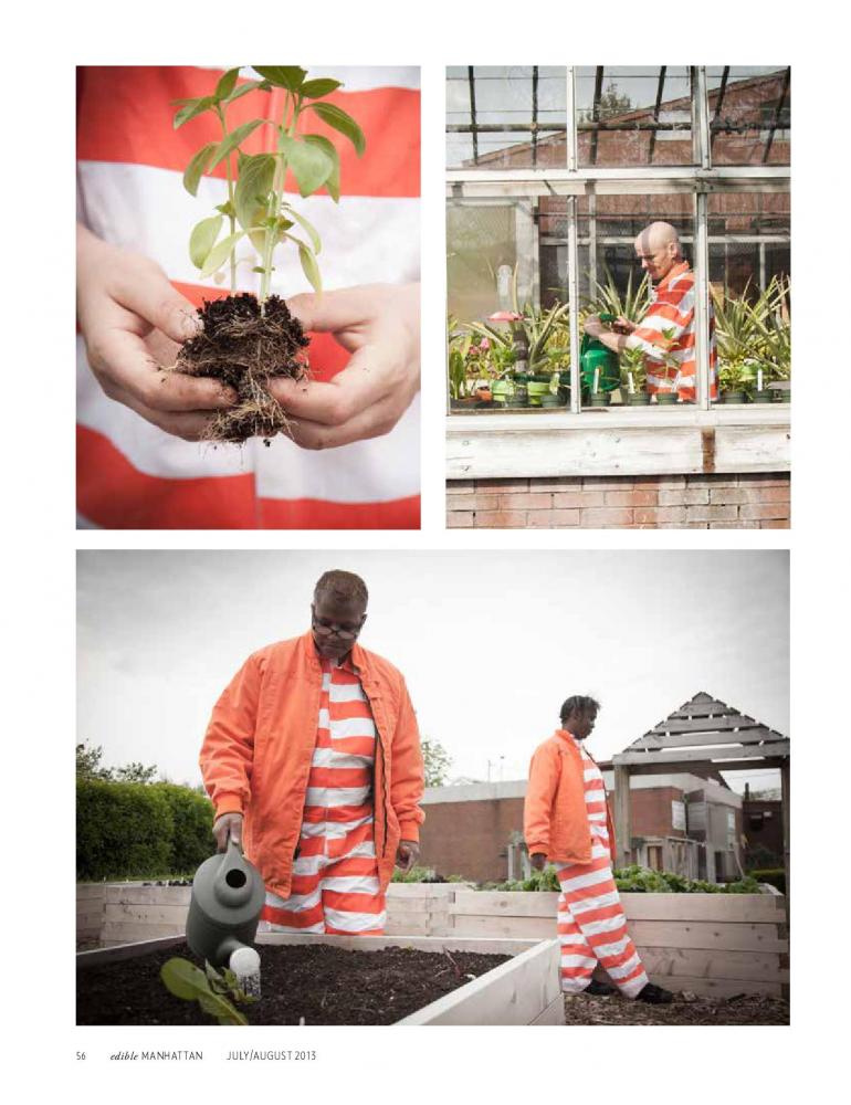 The Hort At Rikers / Growing New Lives