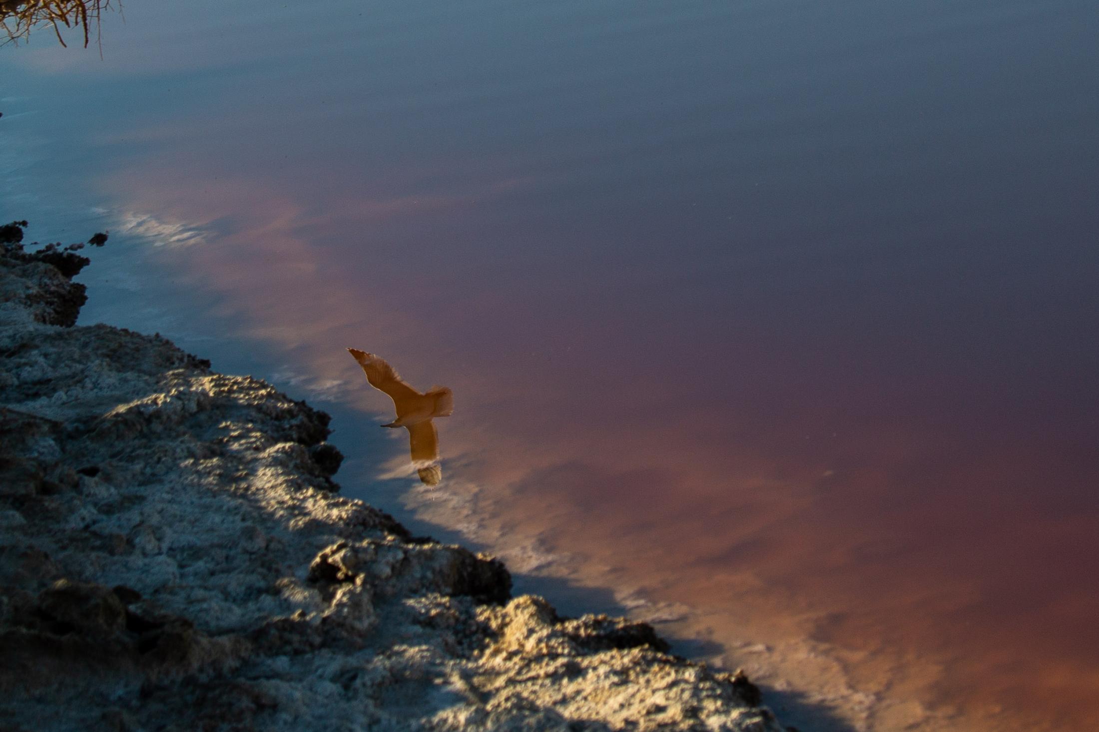  - The Salton Sea faces a crisis  -  The Salton sea is a looming environmental and public...