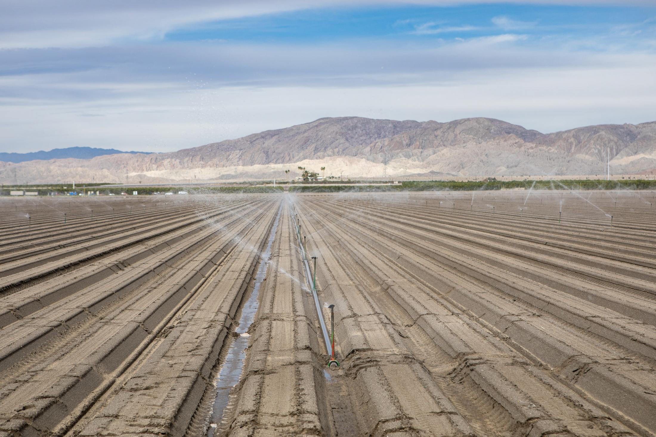  - The Salton Sea -  A field is being irrigated near Coachella. This is the...
